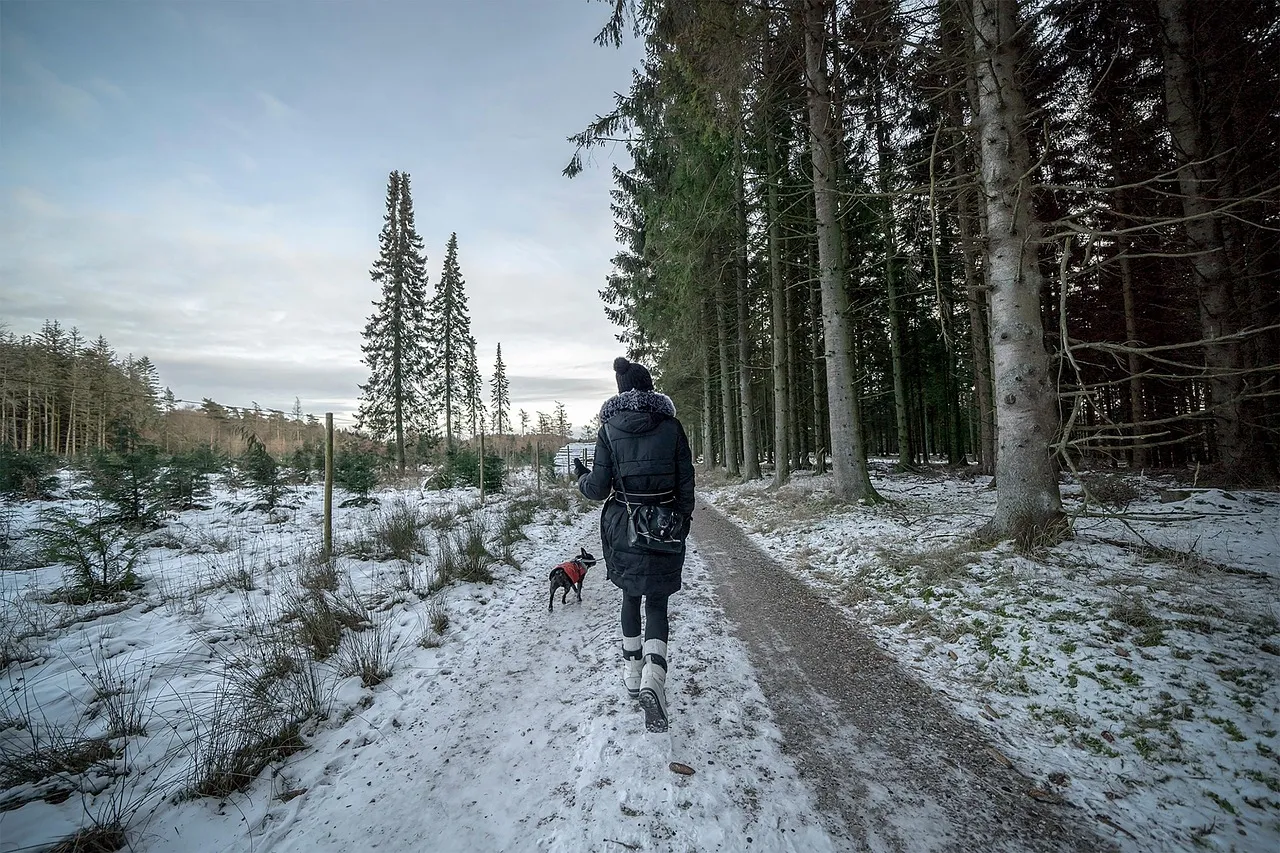 walking