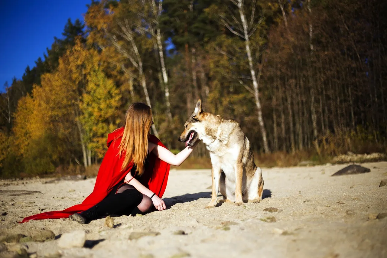 dog and a girl