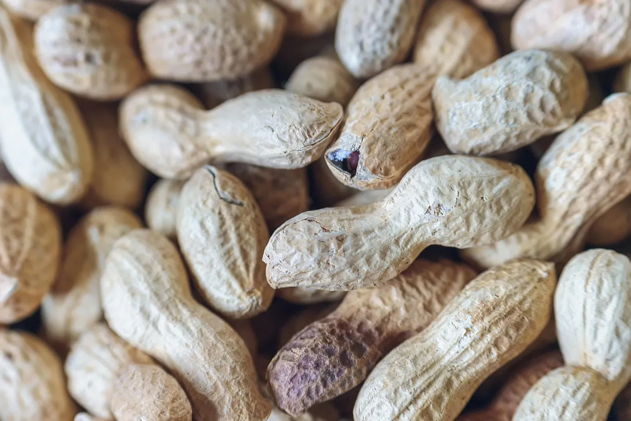 not-eat-unhealthy-snacks-eat-pumpkin-seeds