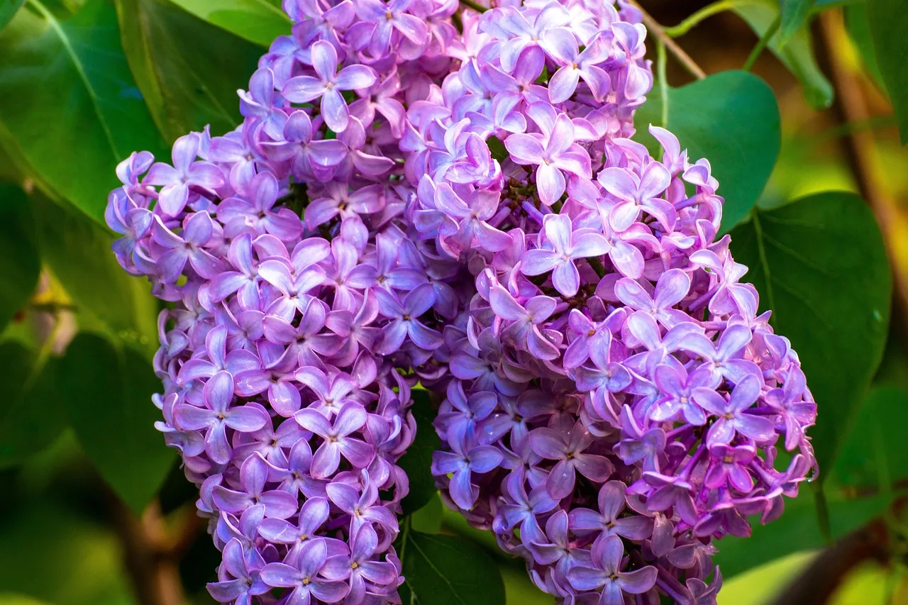 two-colors-will-trendy-year