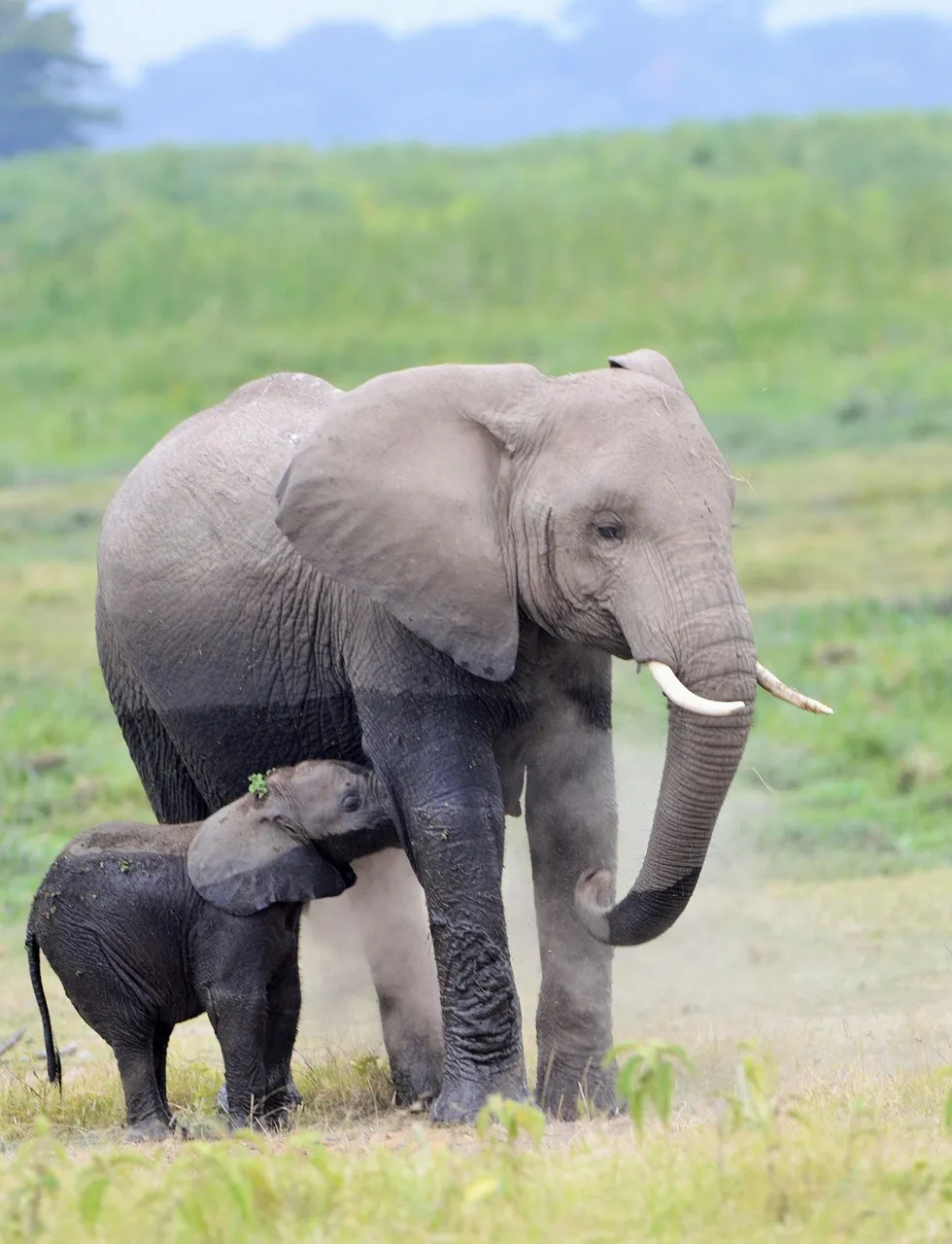 mother and daughter