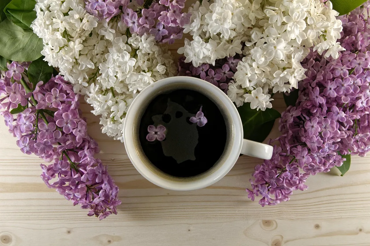 cofie
