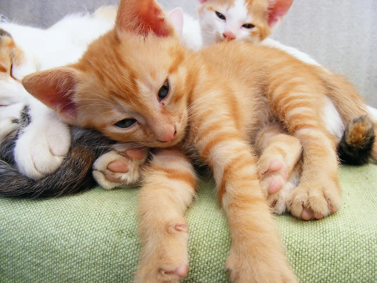 sisters