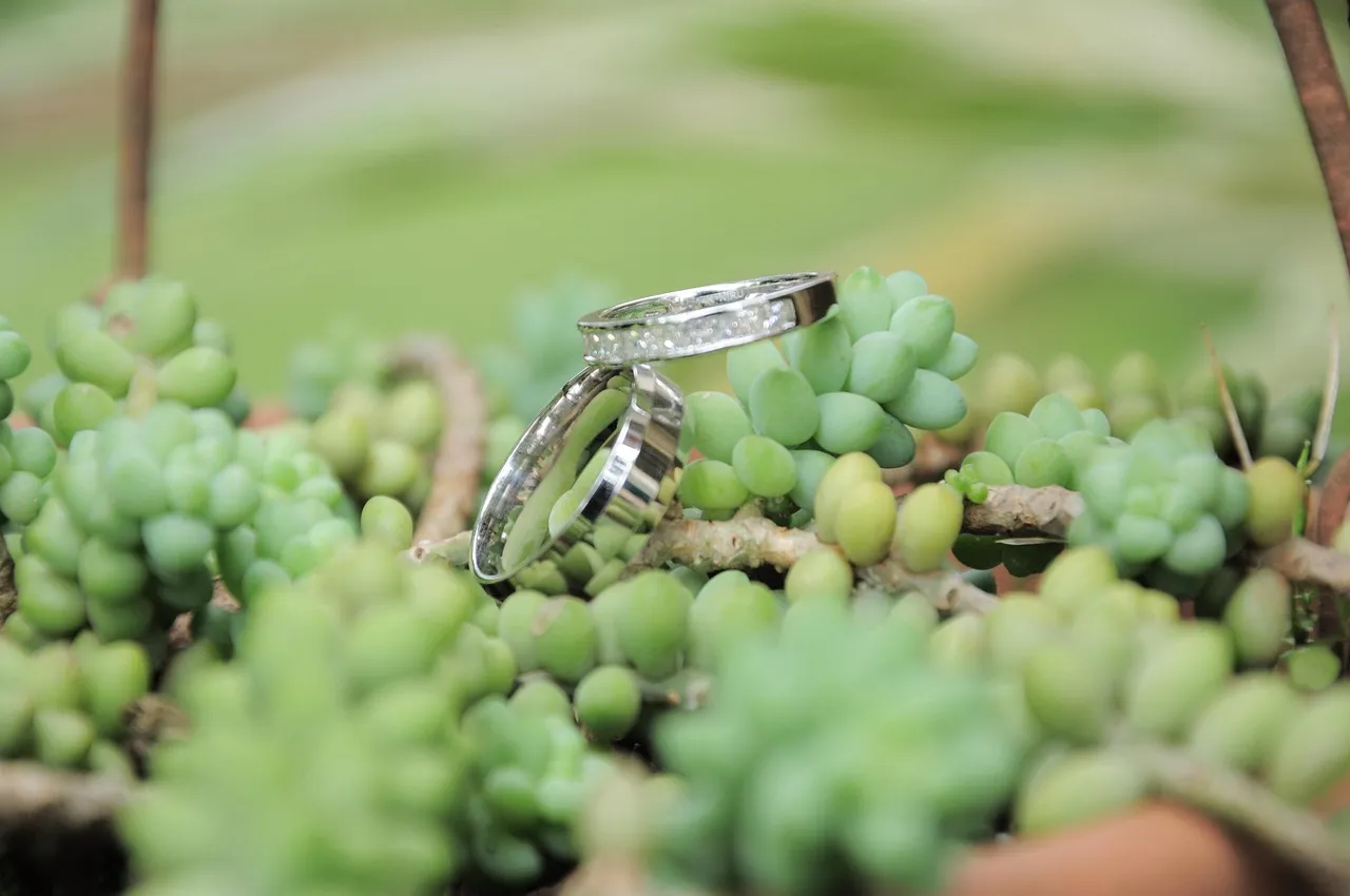 vear-wedding-rings