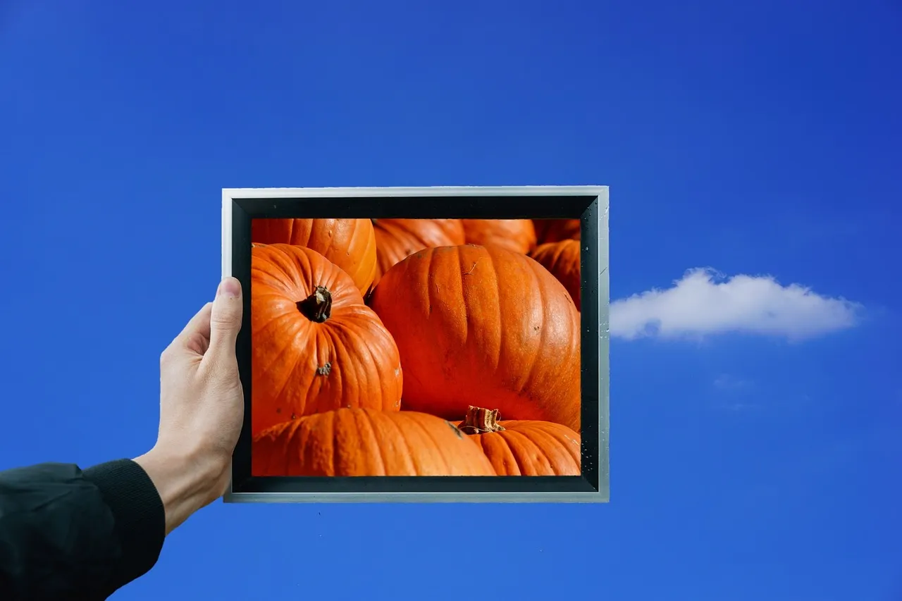excellent-diet-drink-pumpkin-juice