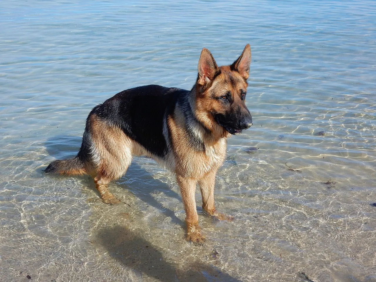 beach exercise
