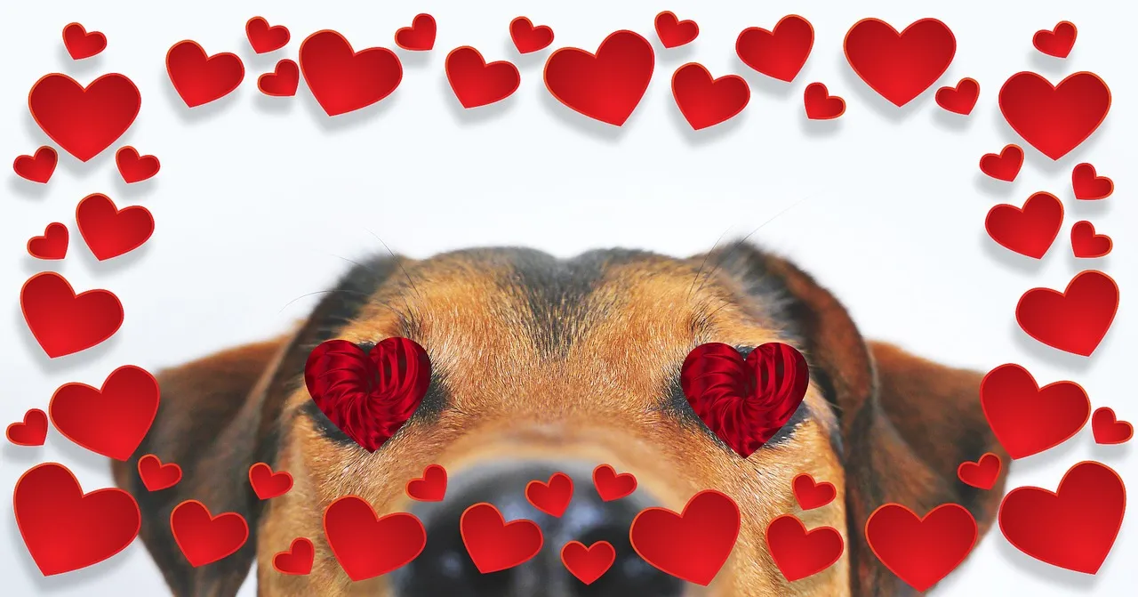 dogs-guardians-human-heart