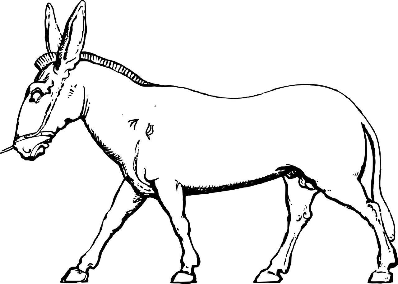 vvdraa