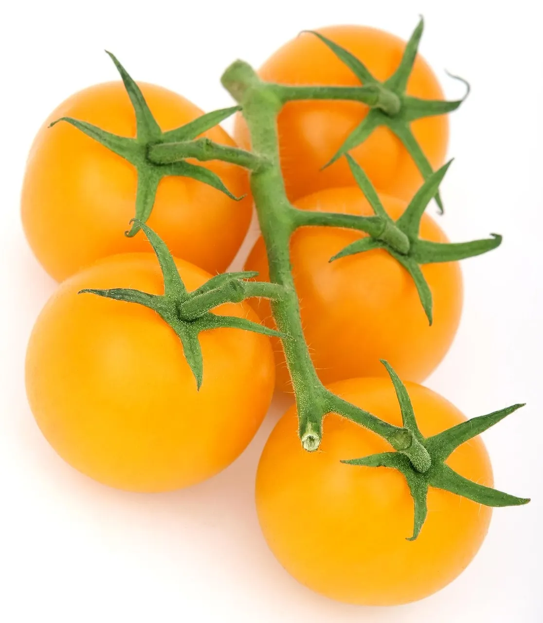 home-remedy-for-candidiasis