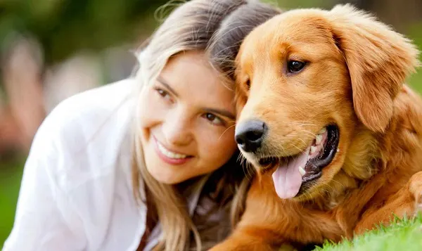 Dogs are the guardians of the human heart