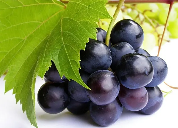 grapes